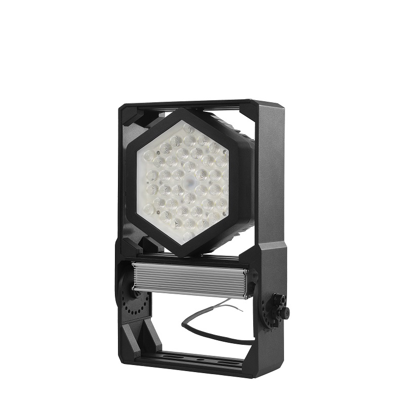 Black Mamba LED flood light