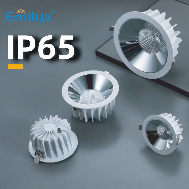 Shadow Series Shadow Series