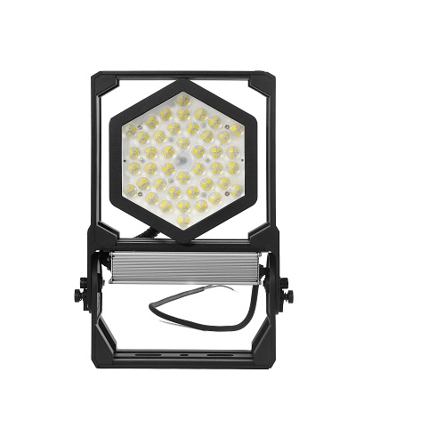 Black Mamba LED flood light