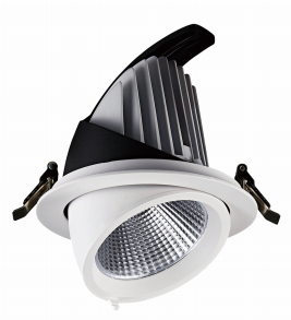 Gimbal downlight
