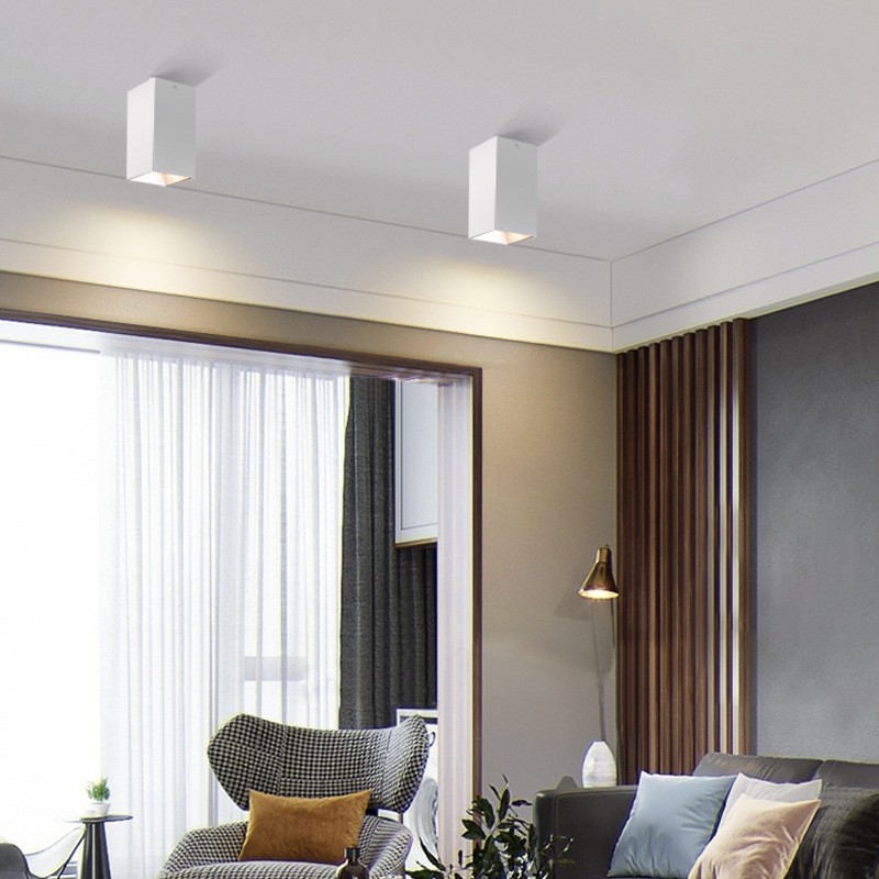 Neptune Series ceiling-mounted downlights