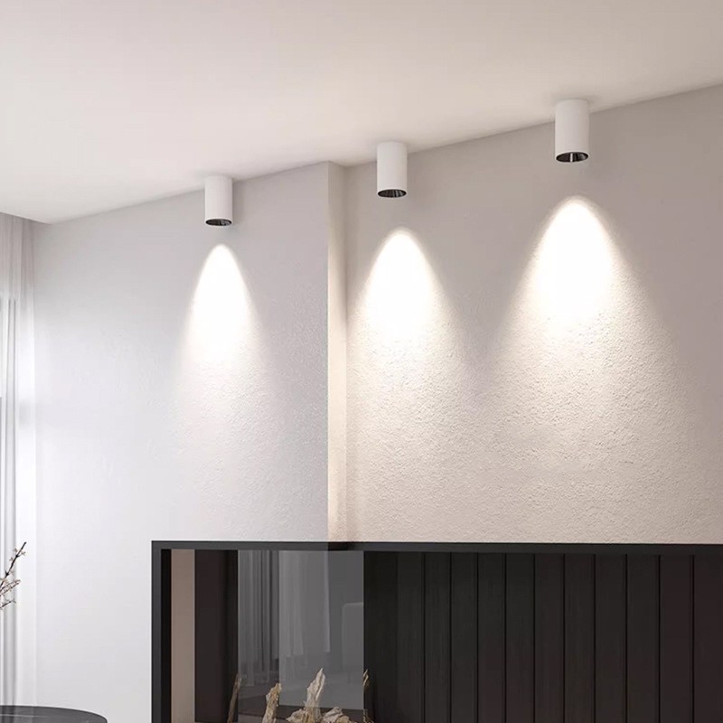 Neptune Series ceiling-mounted downlights