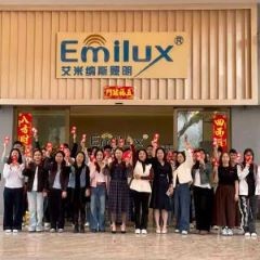 Dongguan Emilux Lighting Technology Co., Ltd.